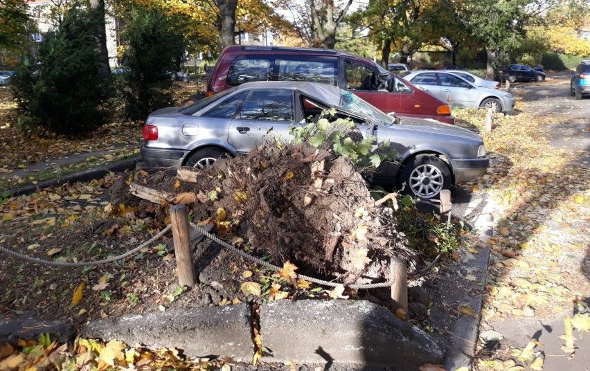 Więcej zdjęć z Wrocławia i całego Dolnego Śląska obejrzycie...