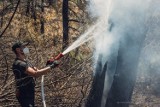 Pożary w Grecji. Wielkopolscy strażacy jeszcze nie wracają do kraju