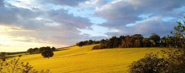 Weekend będzie ciepły.