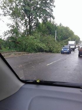 Burza w Łodzi. Nawałnica nad Łodzią. Powalone drzewa, gałęzie na drogach, zalane ulice [ZDJĘCIA]