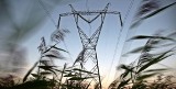 W sobotę brak prądu w kilku miejscowościach powiatu radziejowskiego i brodnickiego