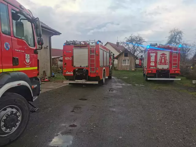 Na miejscu pojawiło się sześć zastępów straży pożarnej.