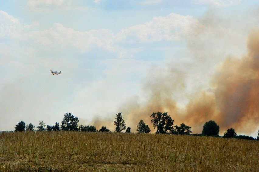 Pożar w Jaraczewie: Strażacy walczą z ogniem na ziemi i z...
