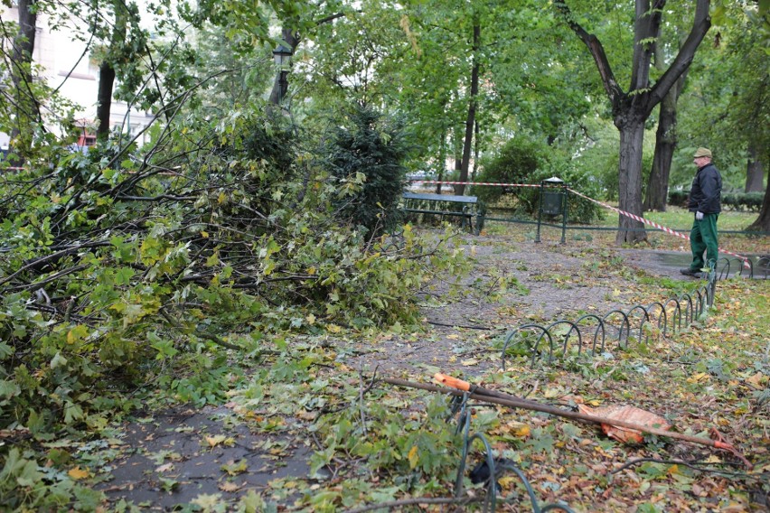 Orkan Ksawery w Krakowie. Wielkie sprzątanie na Plantach [ZDJĘCIA]