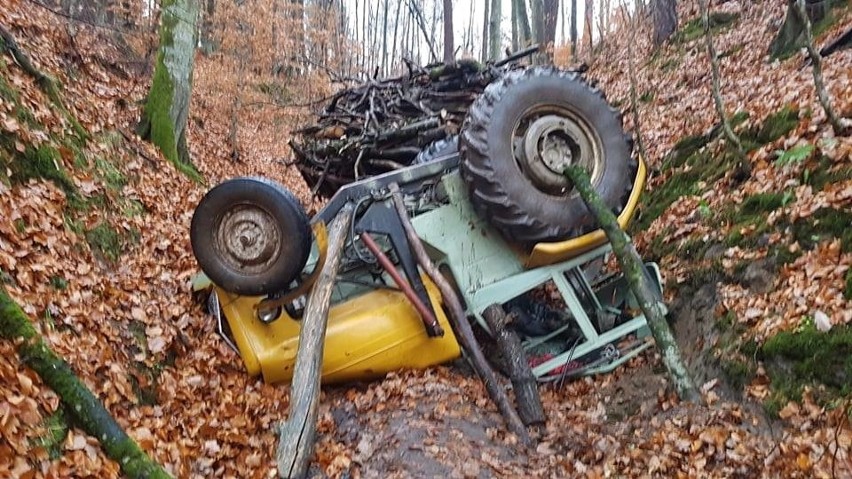 Wczoraj (poniedziałek, 13.11) około godz. 14.30 w lesie w...