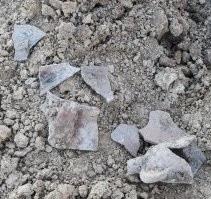 Podczas budowy drogi w Sędziszowie Małopolskim pracownicy natrafili na fragmenty szkieletu, pociski, łuski oraz nieśmiertelnik
