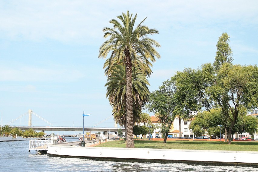 Aveiro to nie tylko portugalska Wenecja ze swoimi...