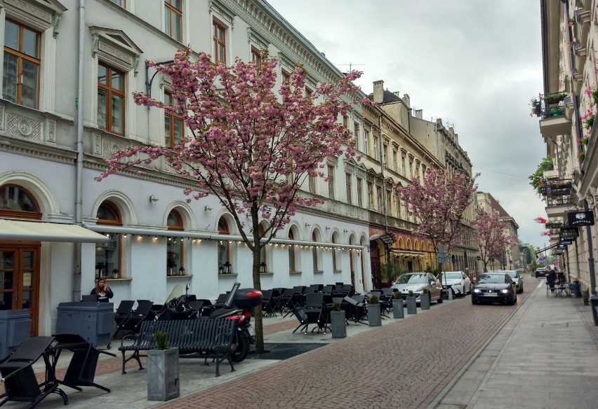 Woonerfy są wynalazkiem holenderskim. Pierwsze tego typu...