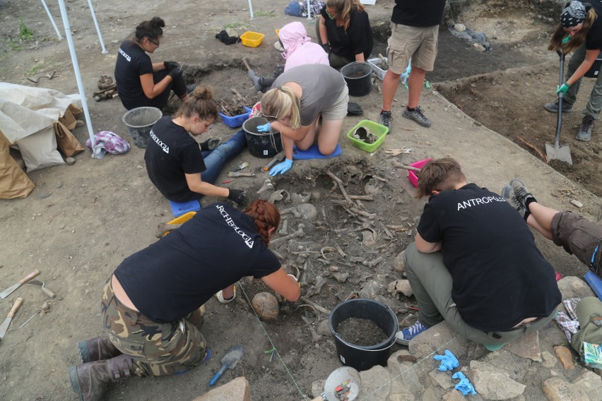 Wrocławscy naukowcy dokopali się do śladów z epoki brązu i neolitu [ZDJĘCIA]