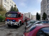 Pożar mieszkania w Gdyni Karwiny w sobotę, 11 maja. Pożar wybuchł w godzinach porannych, ewakuowano 30 mieszkańców 