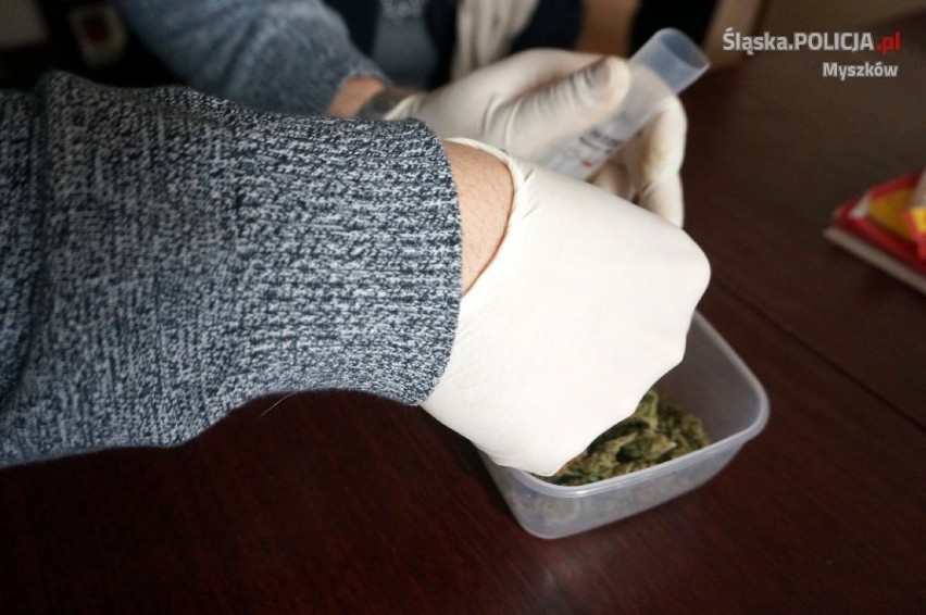 Myszków: 15-latki ukrywały marihuanę w stanikach