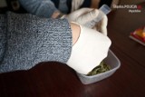 Myszków: 15-latki ukrywały marihuanę w stanikach