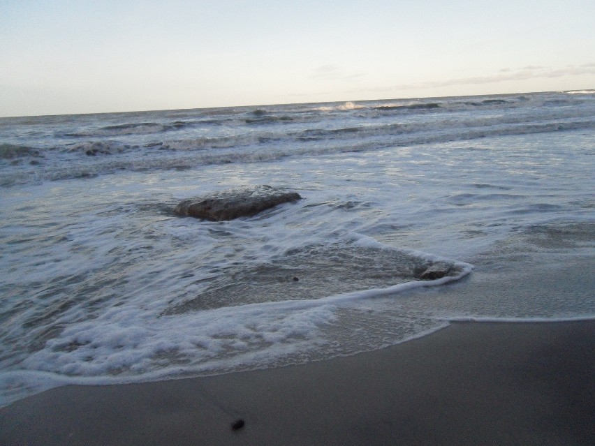 Ekolodzy alarmują. Na bałtyckich plażach pojawiła się parafina