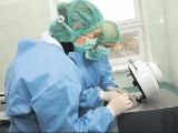 Powiatowy lekarz weterynarii w Świnoujściu ostrzega przed ptasią grypą