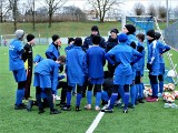 Turniej "Z Podwórka na Stadion o Puchar Tymbarku". W każdym klubie jest jakiś talent [ZDJĘCIA, WIDEO]