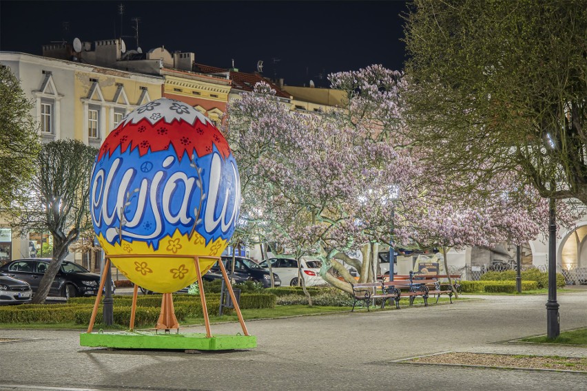 Kwiecień - symbol kluczborskiego rynku, czyli magnolia oraz...