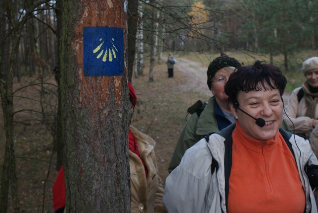 Przewodnik Anna Sikorska z turystami na przebiegającym przez lasy kujawsko-pomorskim Szlaku św. Jakuba