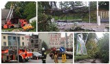 Opole po przejściu nawałnicy. Są spore zniszczenia, strażacy cały czas wyjeżdżają do powalonych drzew i uszkodzonych dachów