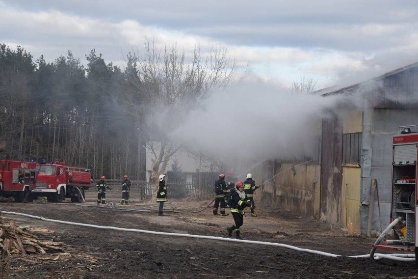 Pożar hali w Kawczu w gminie Miastko. Prawdopodobnie doszło do wybuchu butli gazowej [zdjęcia] 