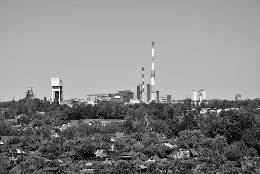 Wojewoda Śląski polecił opuścić flagi państwowe i...