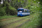 Najbardziej zielone zakątki na trasach tramwajów w Nowej Hucie [GALERIA]