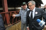 Kampania prezydencka trwa. Bronisław Komorowski odwiedził rolnika (zdjęcia)