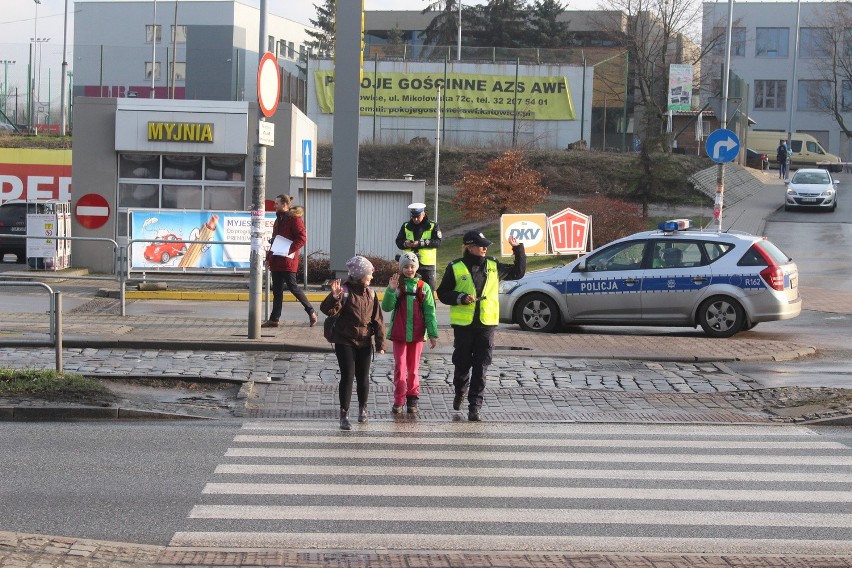 Akcja policji: Zebry przeprowadzały ludzi przez pasy w Katowicach