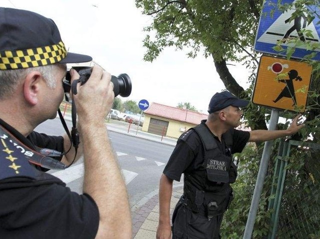 Strażnicy sfotografowali zasłonięte znaki przy ul. Ogrodniczki. Sporządzili notatkę, aby odpowiednie służby przycięły gałęzie.