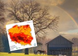 Uważaj w lesie! W sobotę IMGW prognozuje ekstremalne zagrożenie pożarowe. Jaka pogoda w kolejne dni?
