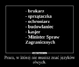 Schetyna: Każdego, kto wątpi w moją znajomość języków, zapraszam na rozmowę po angielsku