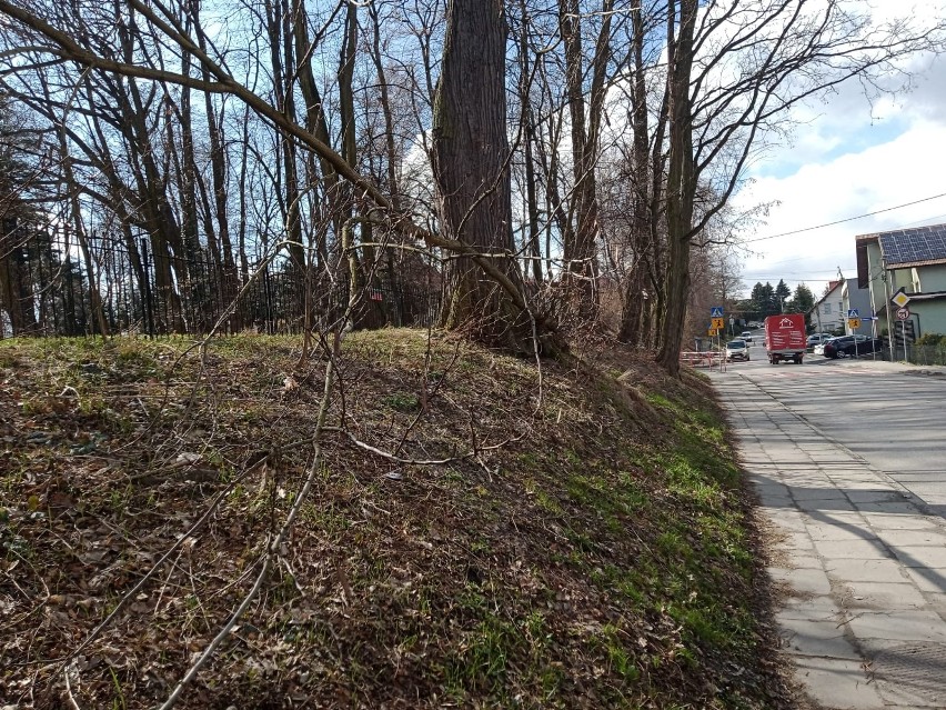 Prace porządkowe trzeba zrobić na prawie 700 kilometrach...