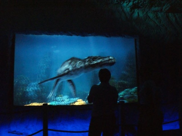 Tak prezentuje się w środku otwarte wczoraj w Bałtowie Oceanarium.