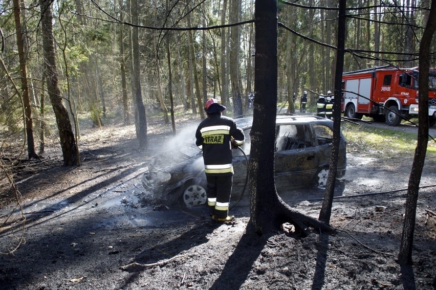 Dzisiaj (12 kwietnia) w godzinach popołudniowych, pomiędzy...