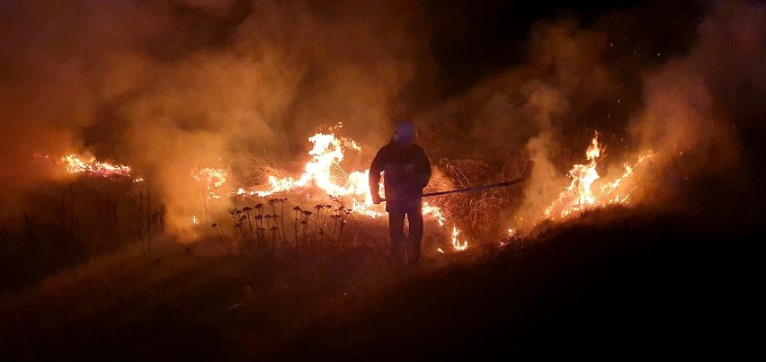Pożary traw wciąż nękają powiat konecki. Gdzie najwięcej? Zobacz zdjęcia ze strażackich akcji 