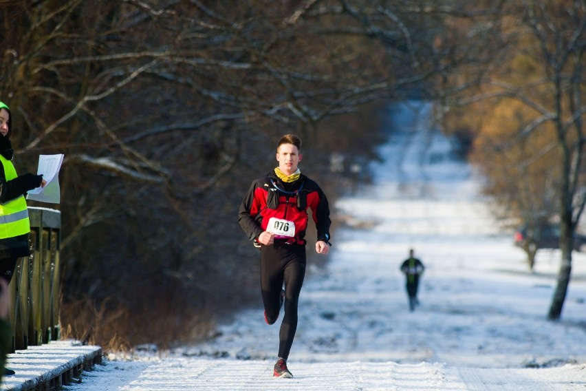 Ultra Śledź - Ultramaraton w Puszczy Knyszyńskiej