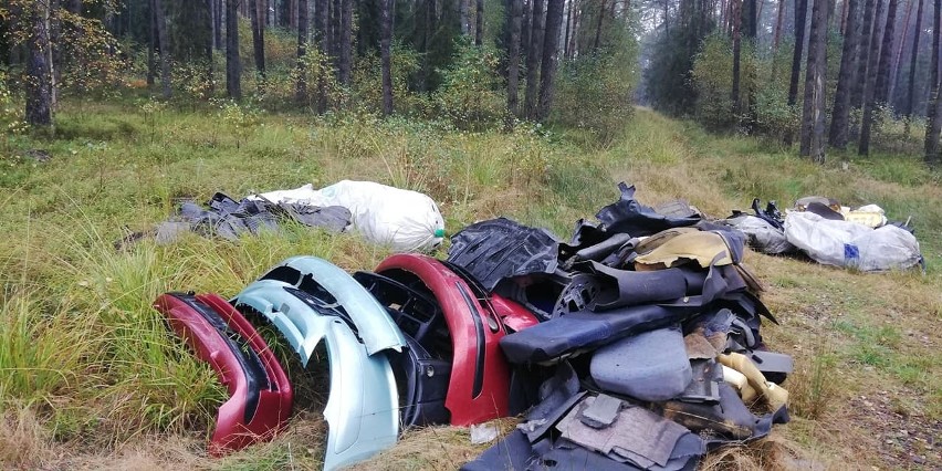 W lublinieckich lasach ktoś porzucił części samochodowe. Tak...