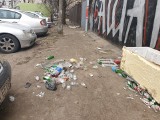 Mapa wstydu w mieście Łodzi. Spod śniegu wychodzą butelki po wódce i piwie ZDJĘCIA
