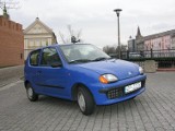 Testujemy używane: Fiat Seicento, auto dla początkującego kierowcy (zdjęcia, film)