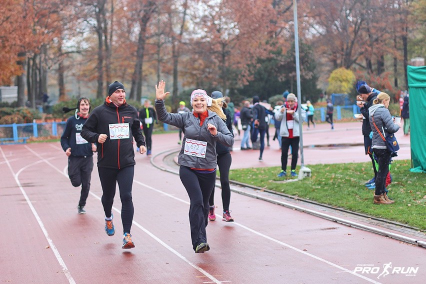 Bieg z Wąsem 2016, Wrocław