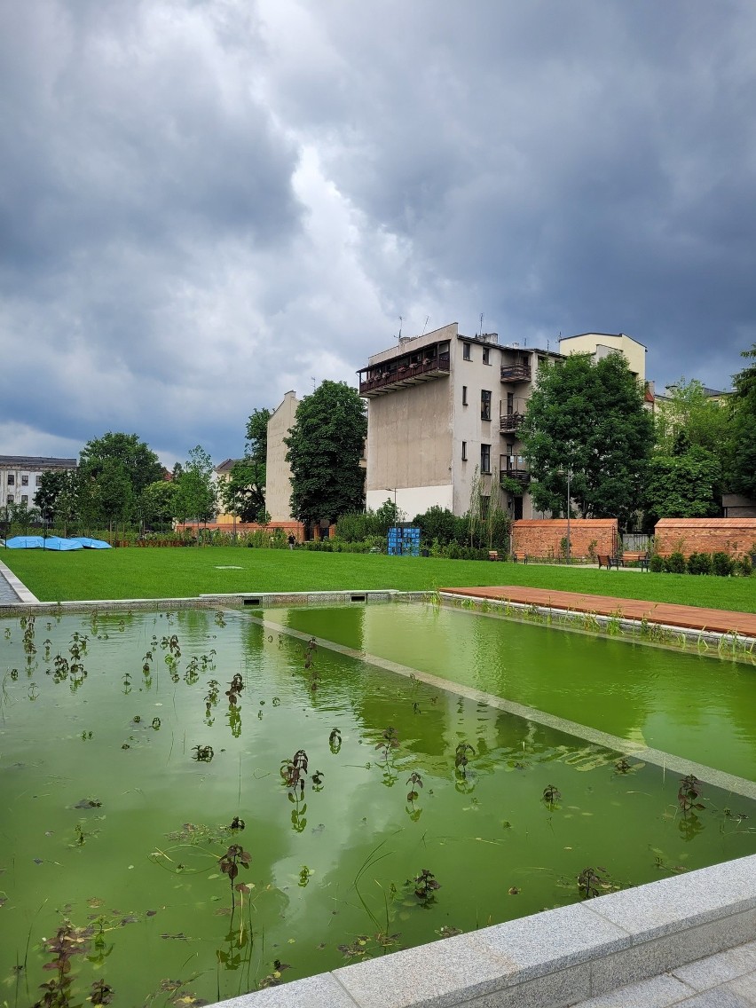 Kraków. W parku przy Karmelickiej woda zaszczepiona, by była jak w naturalnym jeziorze