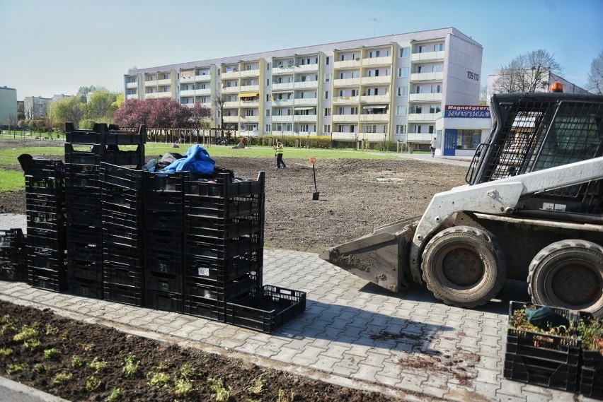 Park Rataje powstaje w bólach. Radni oraz społecznicy z...