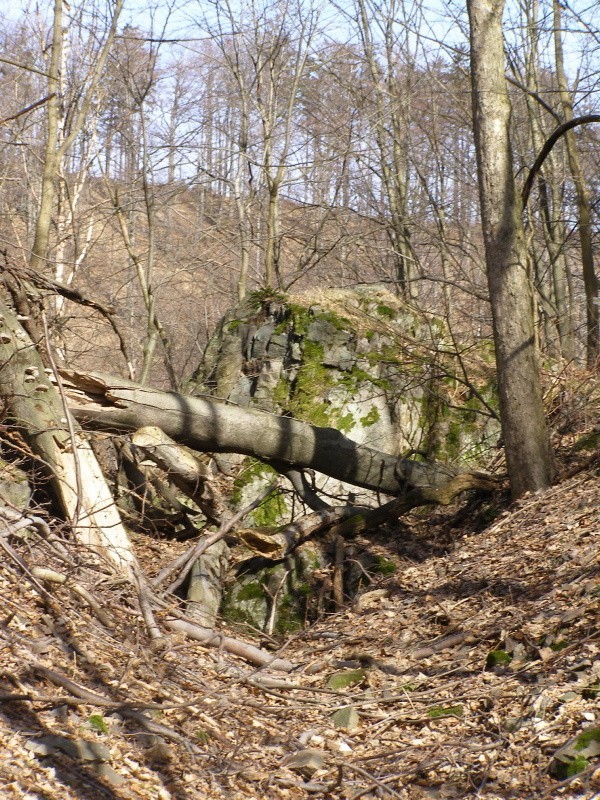 Góry Suche jesienią.