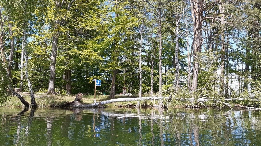 Sezon letni za pasem. Czaplineccy leśnicy i żeglarze wytypowali miejsca biwakowe nad jeziorem Drawskim [ZDJĘCIA]