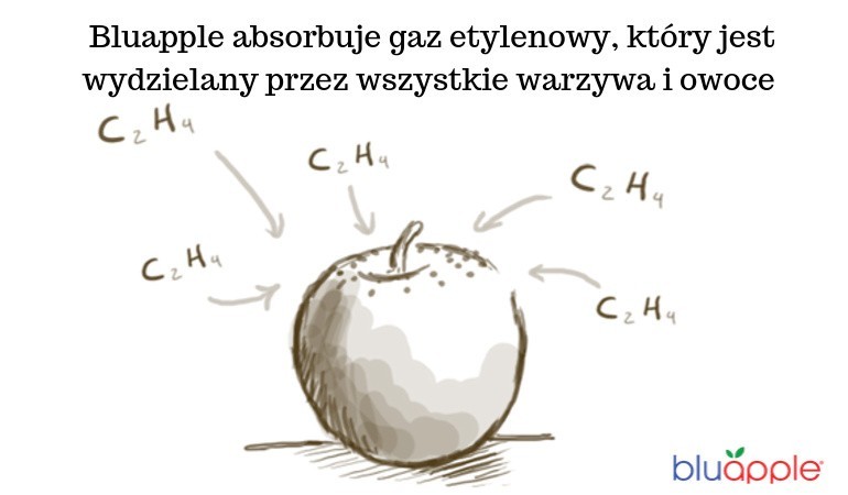 Marnowanie żywności – czy zanosi się na przełom?