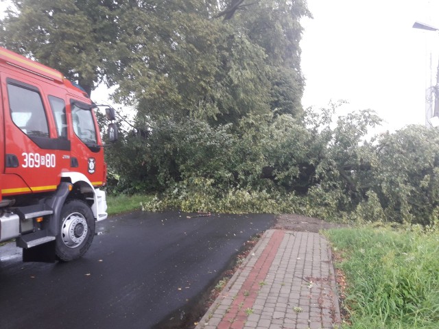 W wyniku nawałnicy jaka przeszła nad przygranicznymi miejscowościami w powiecie przemyskim, w Kalnikowie złamane drzewo spadło na drogę. Uszkodzone zostały także linie energetyczne. Drzewo usunęli strażacy z OSP Stubno.Burza i gwałtowne opady deszczu, Gdańsk, 01.08.2018