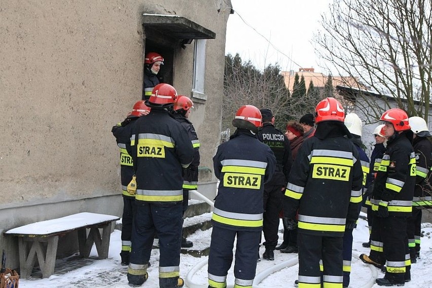 W akcji uczestniczyło ponad 20 strażaków