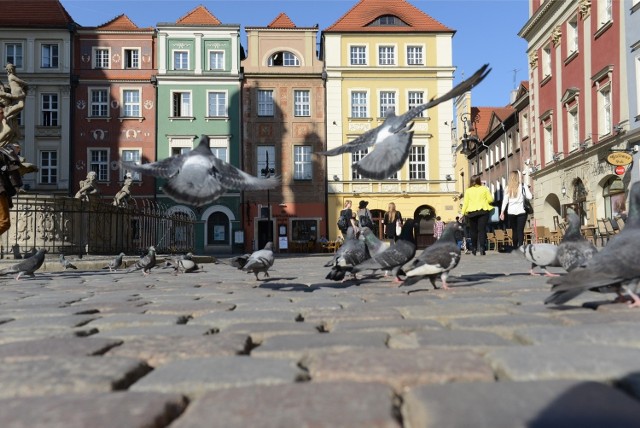 Stary Rynek w Poznaniu otwiera listę londyńskiej blogerki podróżniczej