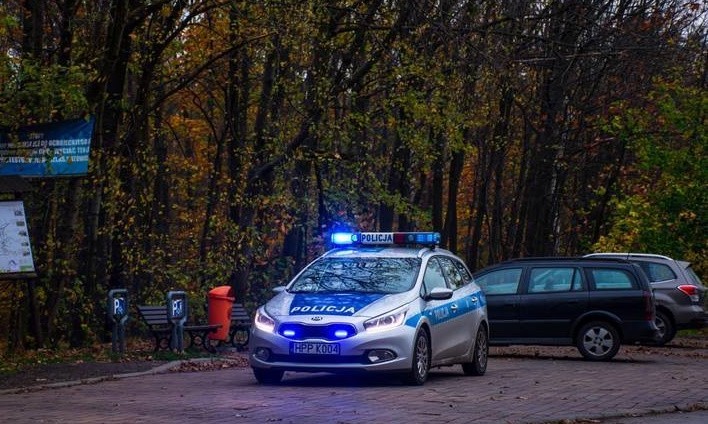 Zabójstwo w lesie przy Szarych Szeregów w Katowice