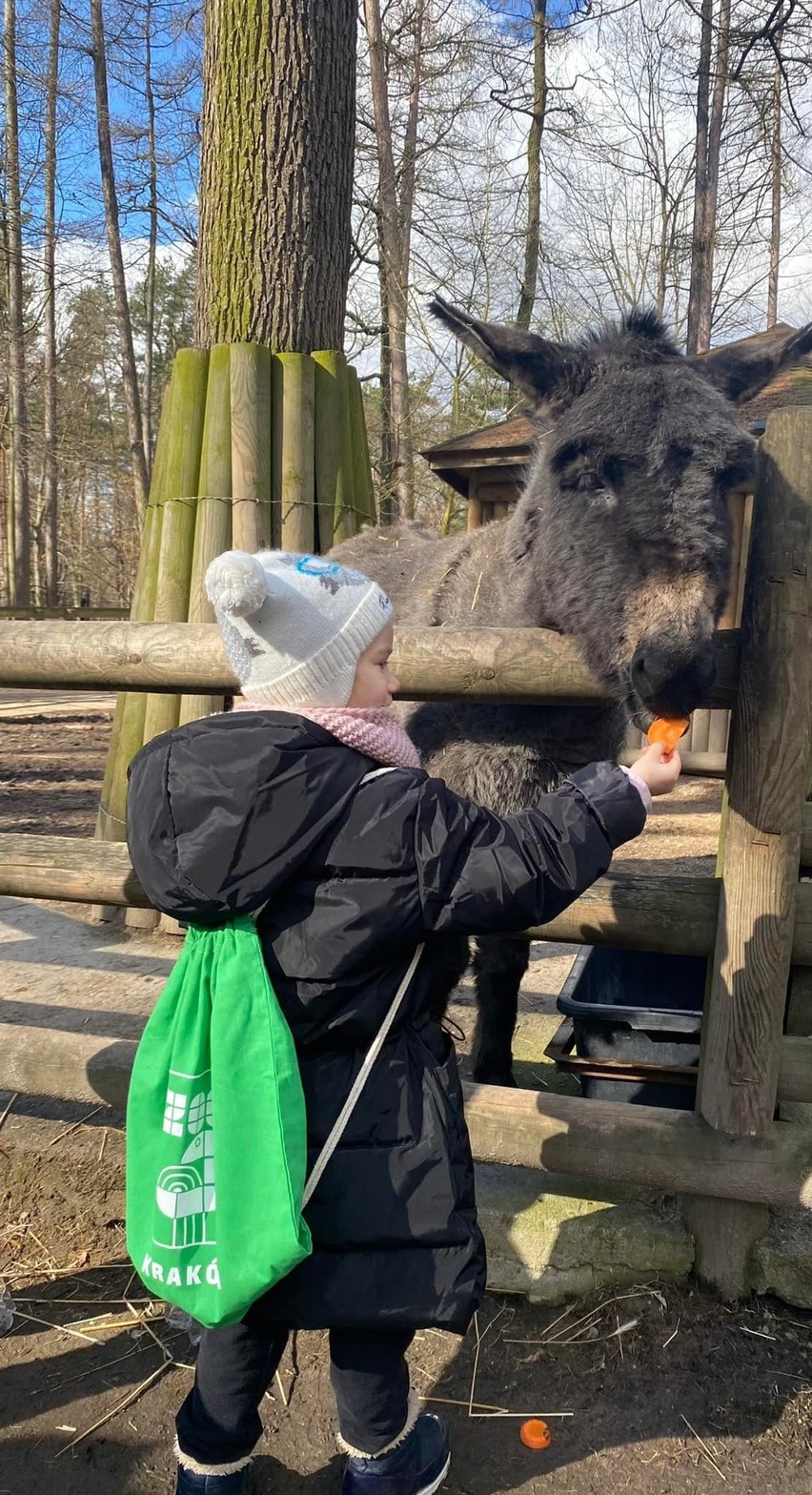 Kraków. Uchodźcy zapraszani do odwiedzin w zoo jedynie za złotówkę
