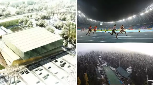 Z myślą o igrzyskach europejskich miasto Kraków chciałoby wybudować halę na ok. 5 tys. widzów. Gotowy jest Stadion Śląski w Chorzowie, na którym mieliby rywalizować lekkoatleci. Jest też już skocznia w Zakopanem, gdzie mogłyby się odbyć zawody w skokach na igelicie.
